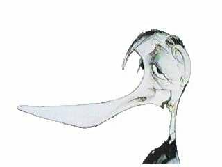 Cartoon of Bernard Woolley